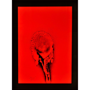 OTTO PIENE, Roter Sonnentau